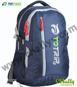 Deluxe Laptop Backpack